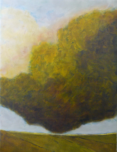 Claude Lepoitevin – Peintures récentes : Sans titre, 2010. peinture sur toile, 170 x 130 cm 